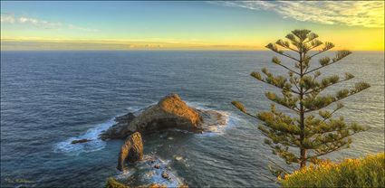 Elephant Rock - Norfolk Island - NSW T (PBH4 00 12337)